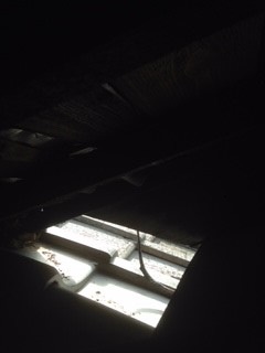 屋根裏から侵入口確認その2
