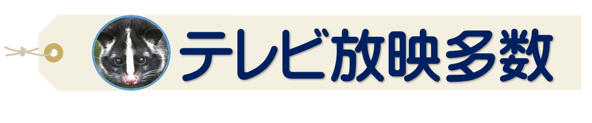 テレビ放映多数