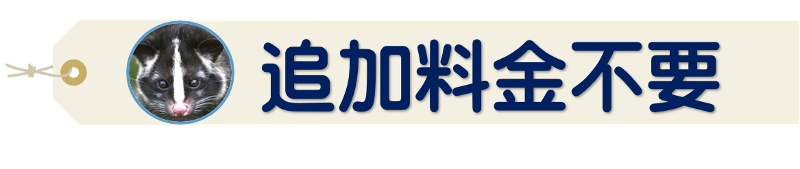 追加料金不要