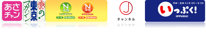 テレビ出演実績
