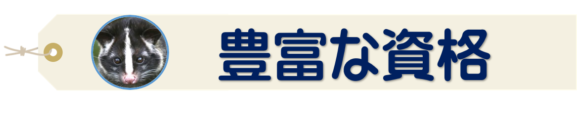 豊富な資格