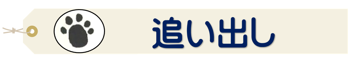 追い出し