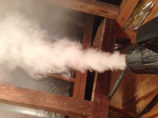 煙霧器追い出し
