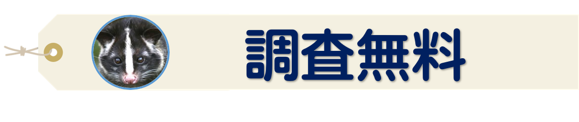 調査無料