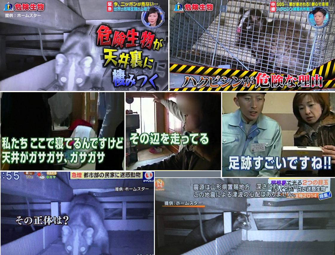 ホームスターテレビ放映多数