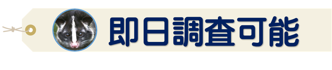 即日調査可能